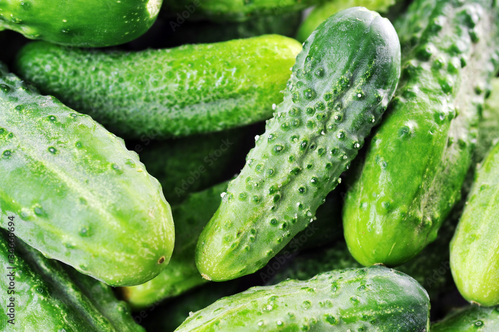 green cucumbers. green cucumbers.