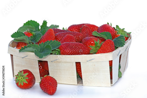 barquette de fraises