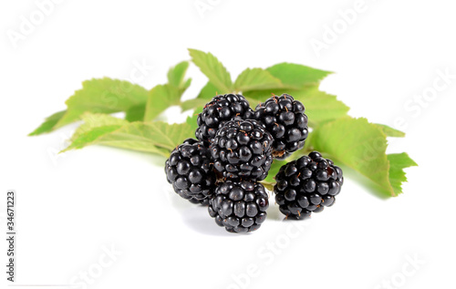 ripe blackberry with green leaves