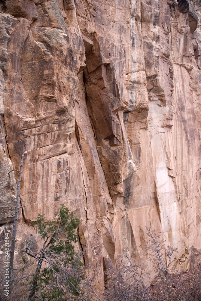 Grand Canyon stone detail