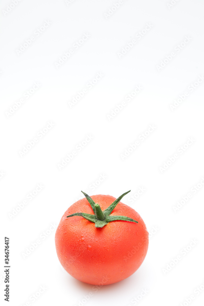 tomate sobre fondo blanco tomate sobre fondo blanco