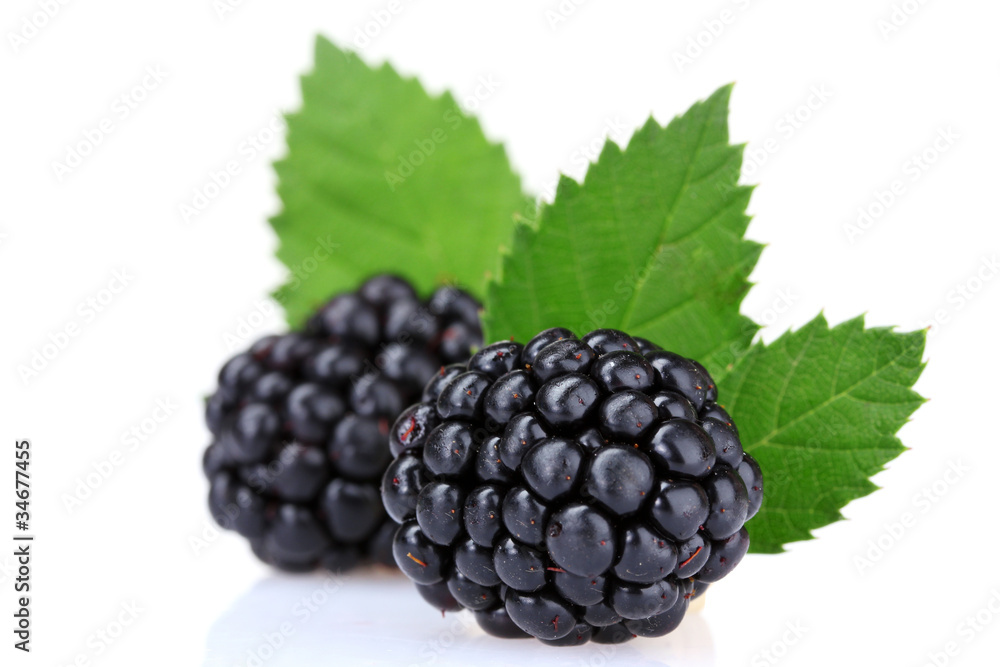 beautiful blackberries isolated on white beautiful blackberries isolated on white