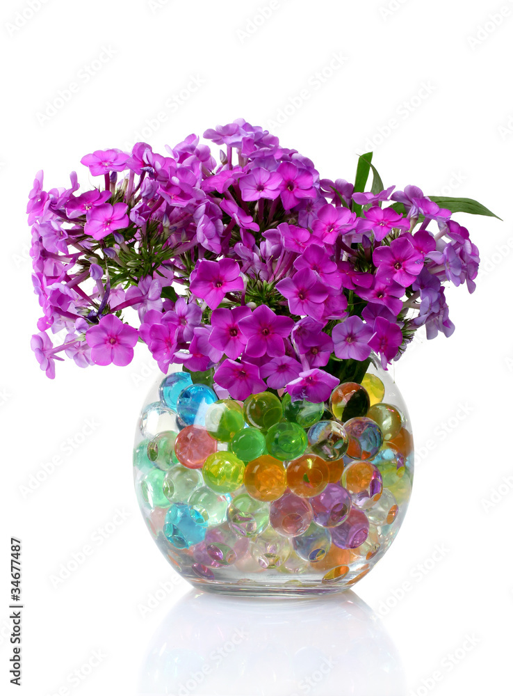 beautiful flowers in vase with hydrogel isolated on white beautiful flowers in vase with hydrogel isolated on white