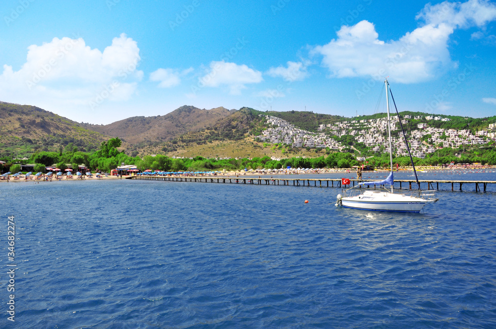 Obraz premium Camel Beach 2