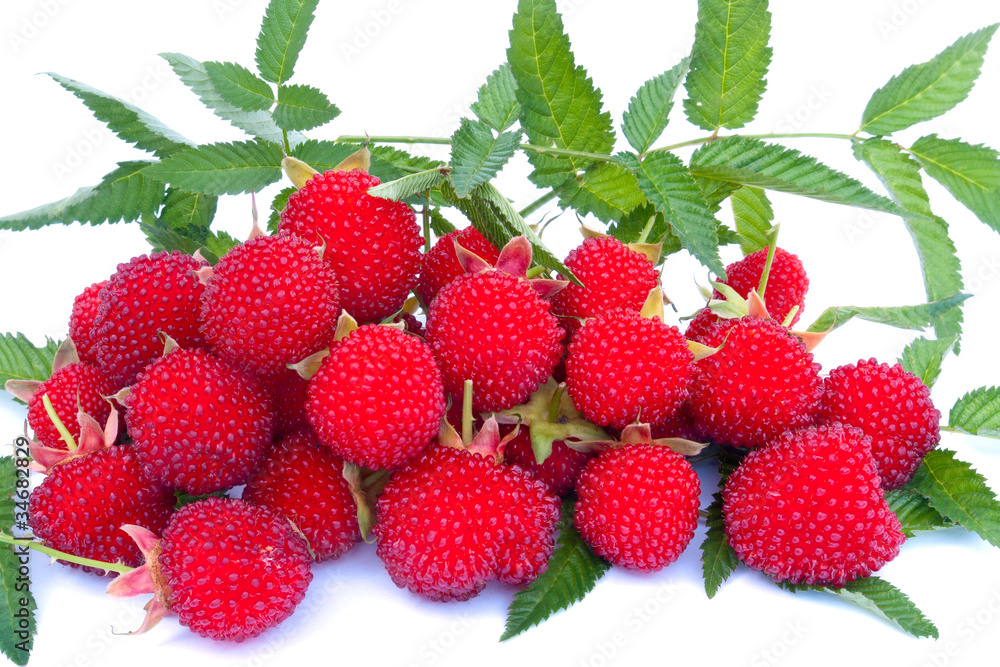 Raspberry Raspberry