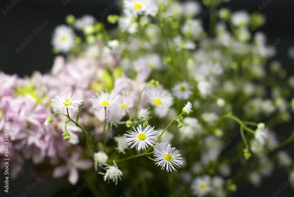 Bouquet of wild flowers on a black background Bouquet of wild flowers on a black background