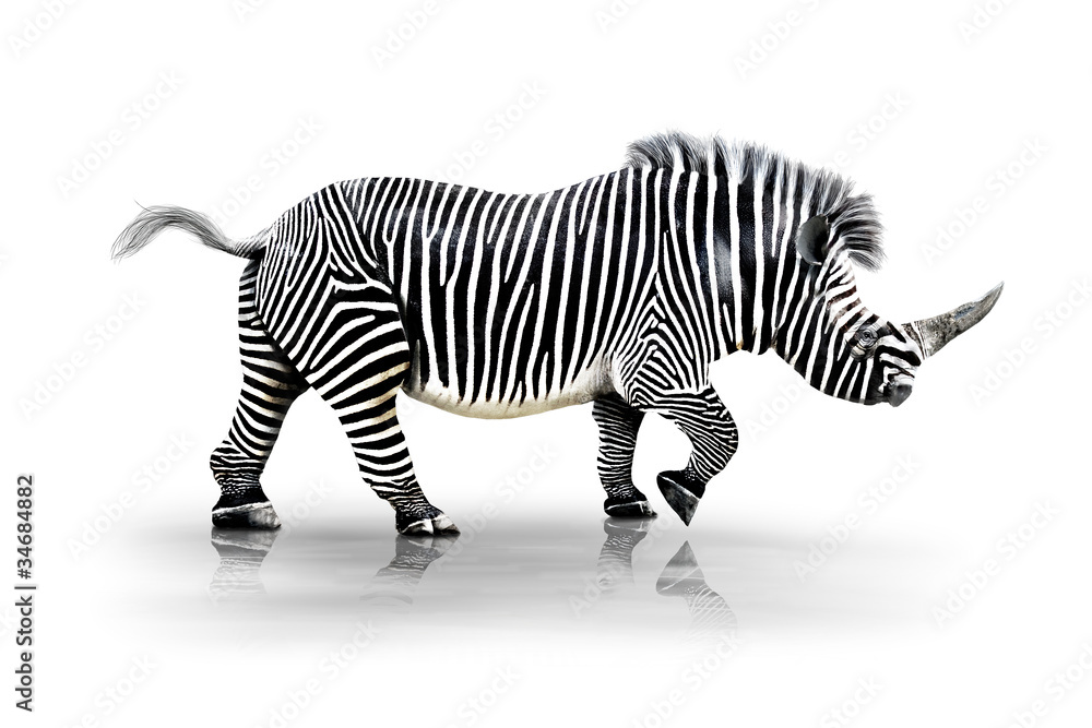 Obraz premium Zebra-Horn