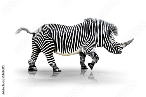 Zebra-Horn