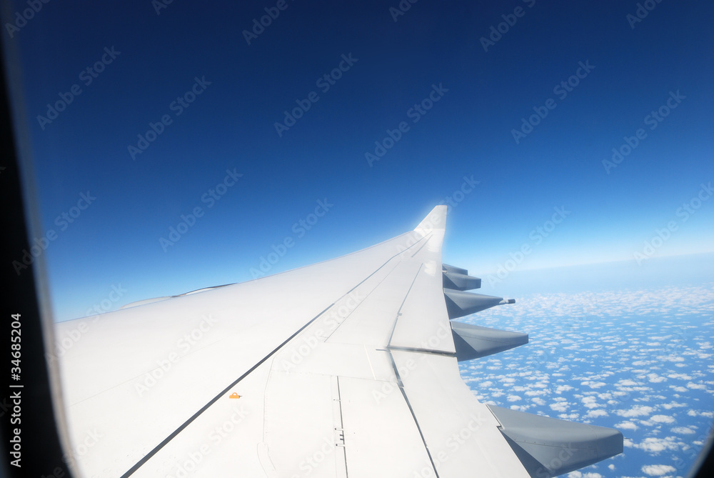 plane wing plane wing