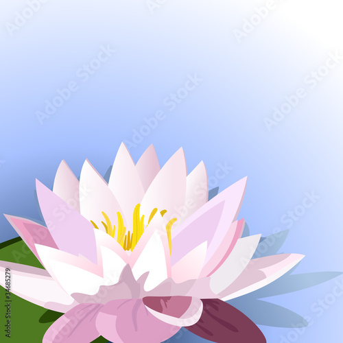 Fototapeta Naklejka Na Ścianę i Meble -  decoration of lilies on the water