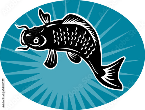 koi carp fish jumping