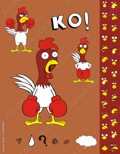 chicken boxing cartoon set1 photo