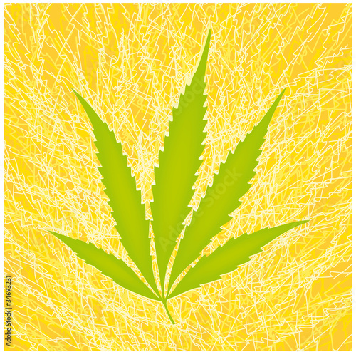 cannabis