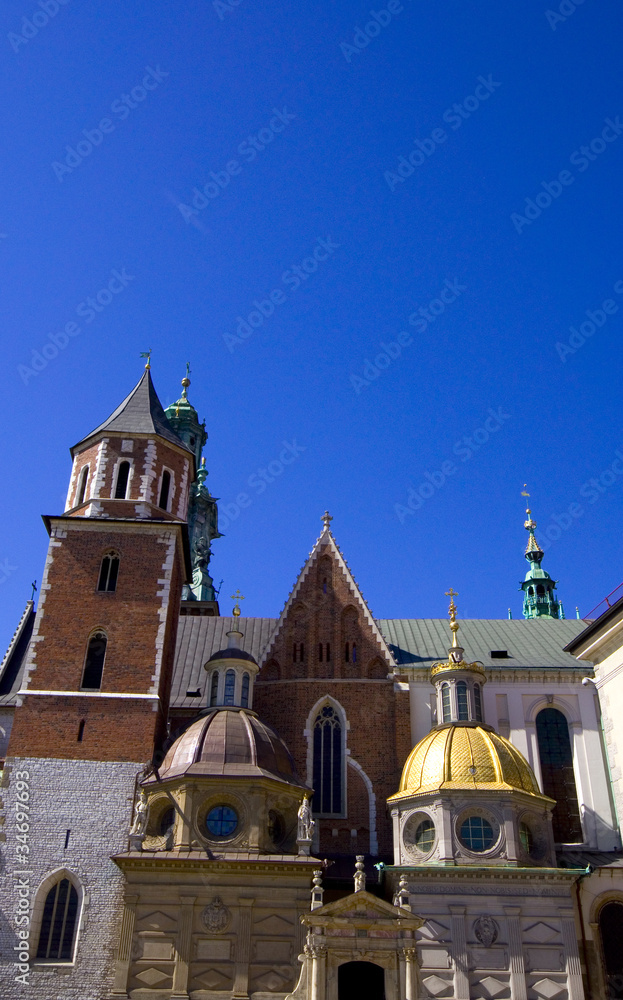Fototapeta premium Wawel - Krakau - Polen