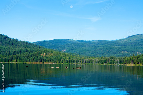 Moon over the Lake II
