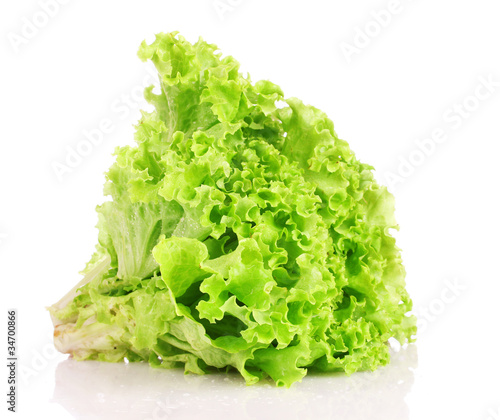 lettuce isolated on white