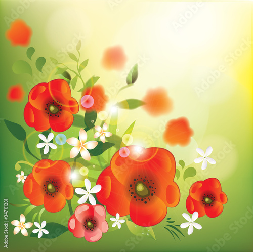 Fototapeta Naklejka Na Ścianę i Meble -  Floral background-Poppy flowers