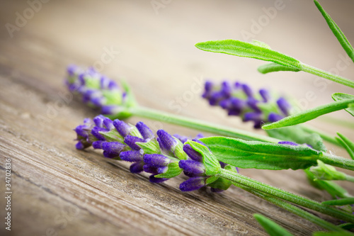 Fototapeta Naklejka Na Ścianę i Meble -  Lavendelblüten