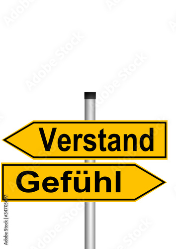 Gefühl und Verstand