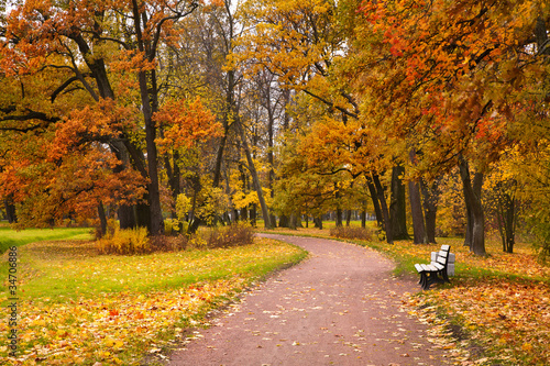 autumn in park