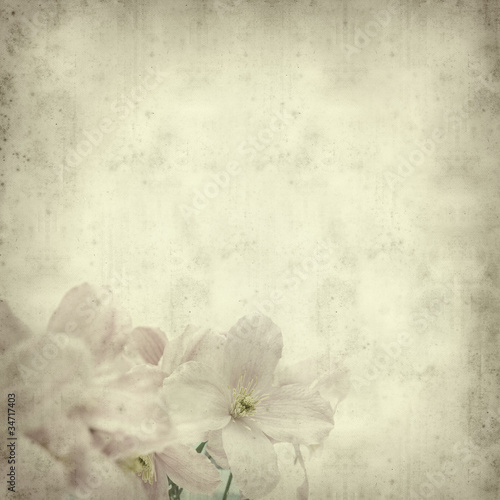 textured old paper background with clematis