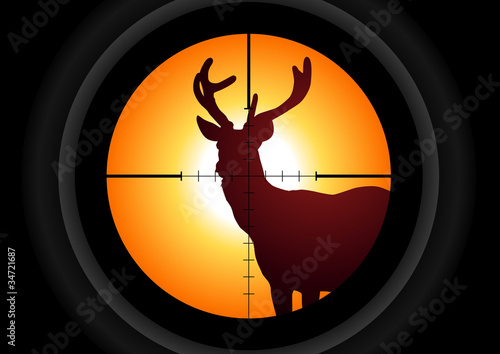 Vector illustration of a rifle lens aiming a deer