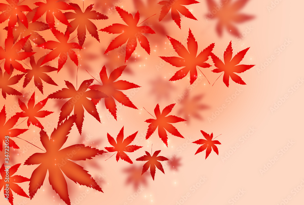 momiji momiji