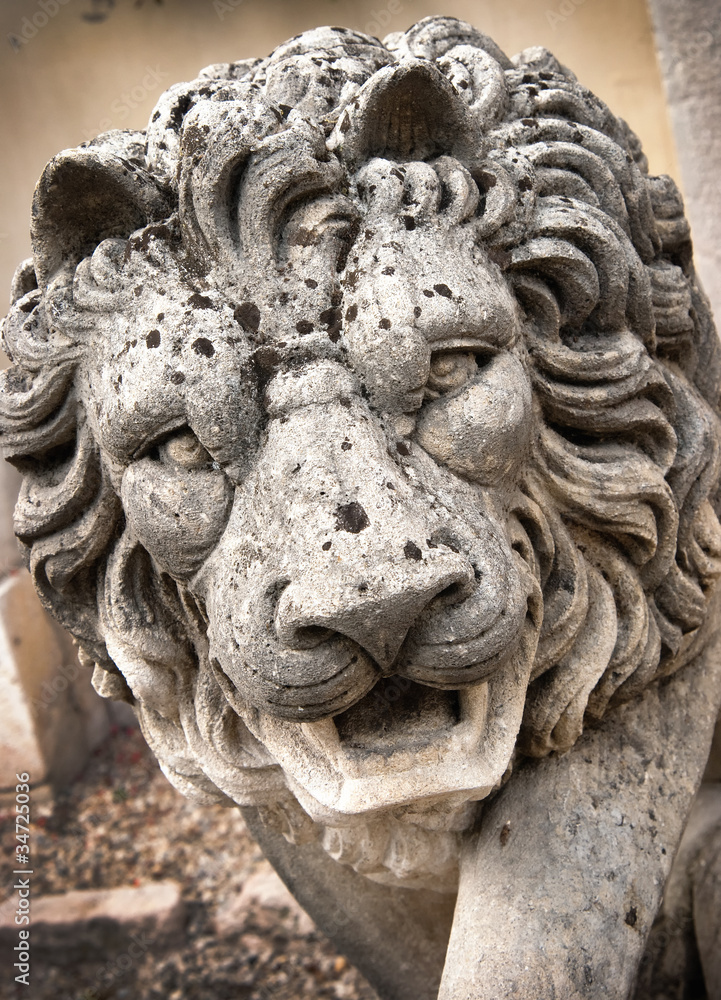Stone lion - Leone di pietra