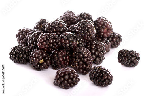 blackberries on white