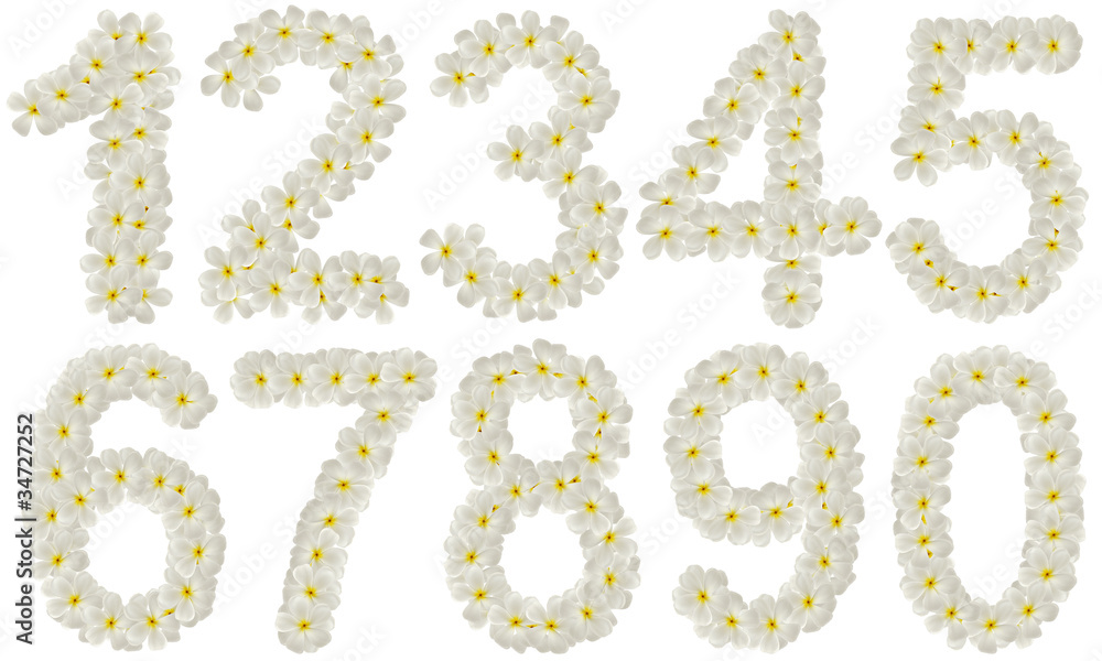 Set of numbers made of tropical flowers frangipani (plumeria) is