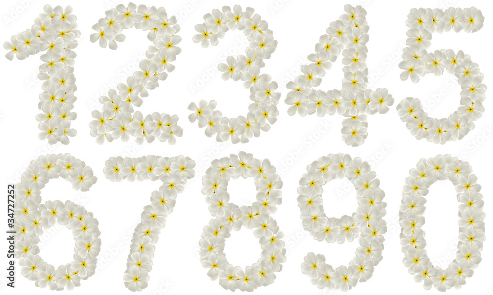 Set of numbers made of tropical flowers frangipani (plumeria) is Set of numbers made of tropical flowers frangipani (plumeria) is