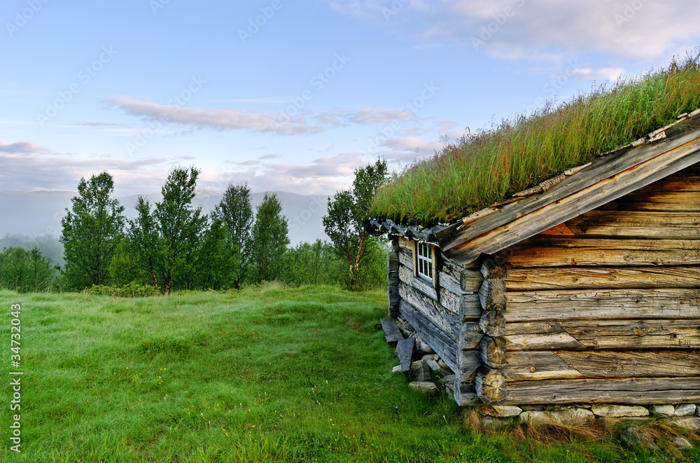 House with grass on the roof. House with grass on the roof.