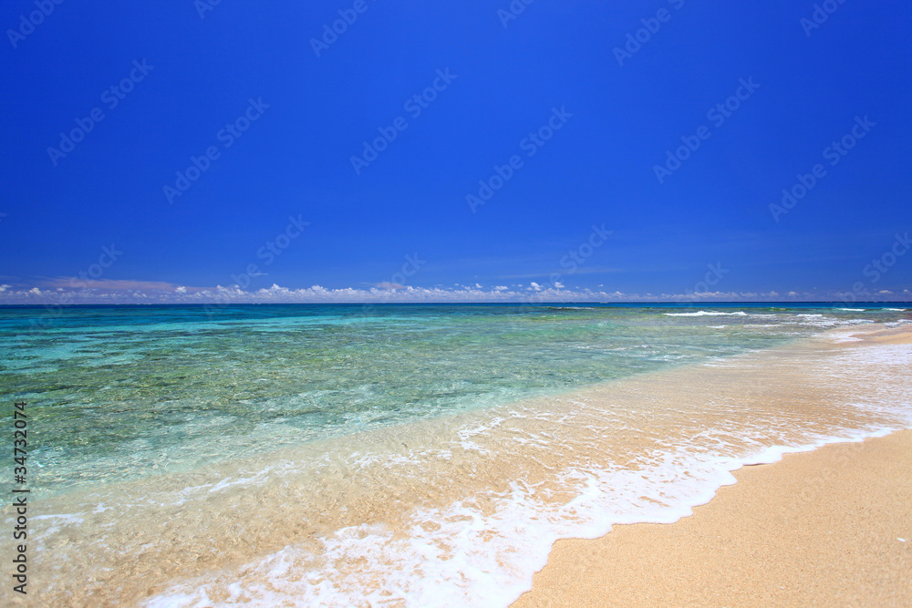 透き通る海と砂浜