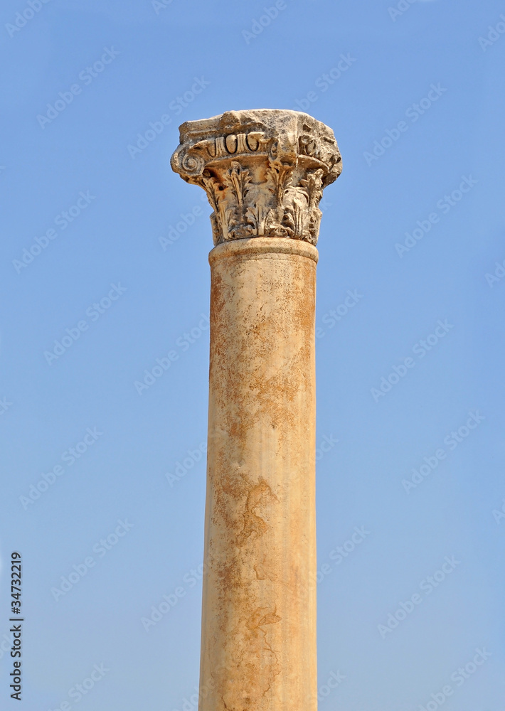 Column at ephesus Turkey.