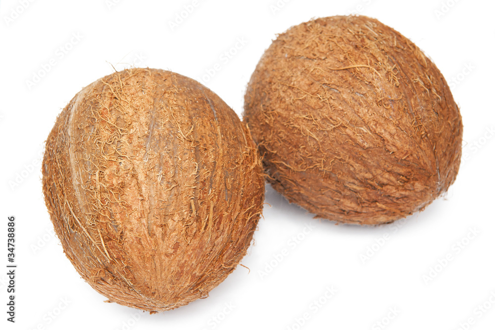Coconuts Coconuts