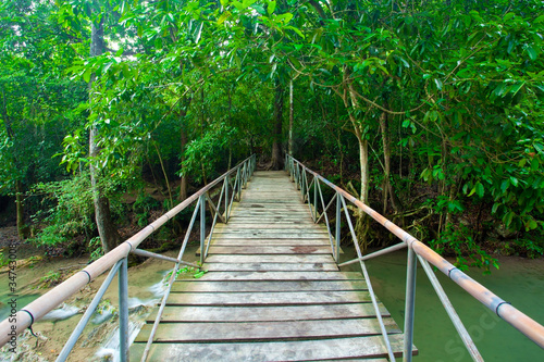 Rope walkway through the treetops in a rain forest