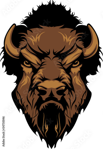 Buffalo Bison Mascot Head Graphic photo