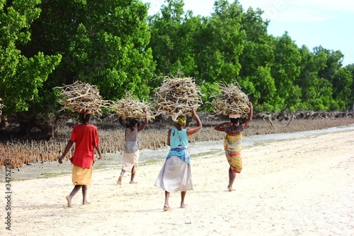 fuelwood collection from a Mangrove