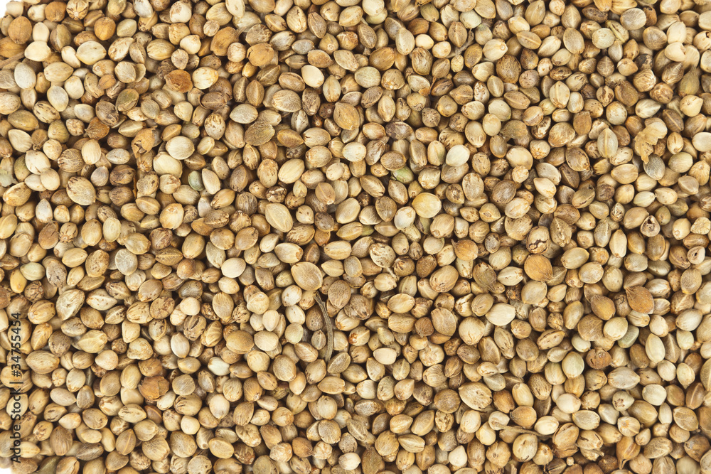 Texture of Food for bird as background Texture of Food for bird as background