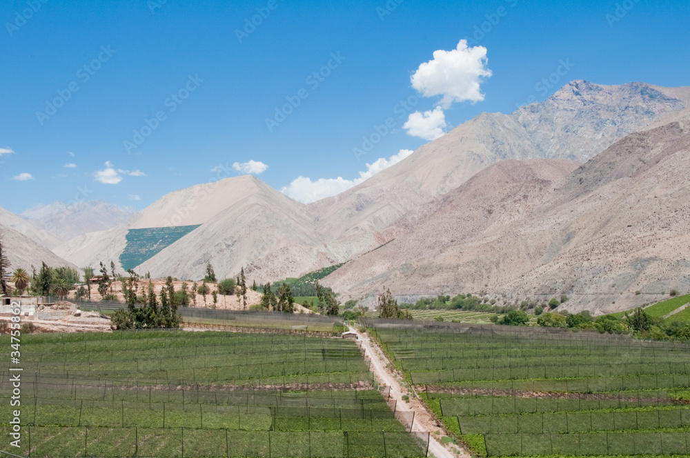 Naklejka premium Elqui valley, Chile