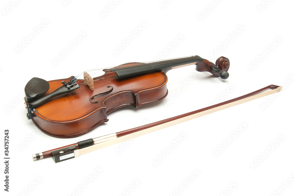Fototapeta premium violin