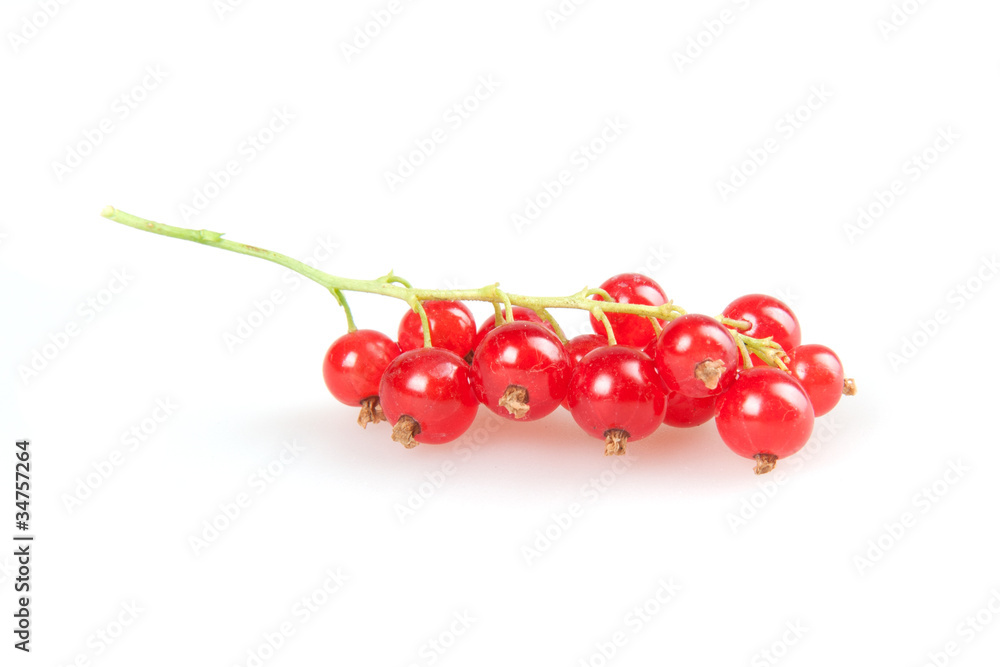 redcurrant redcurrant