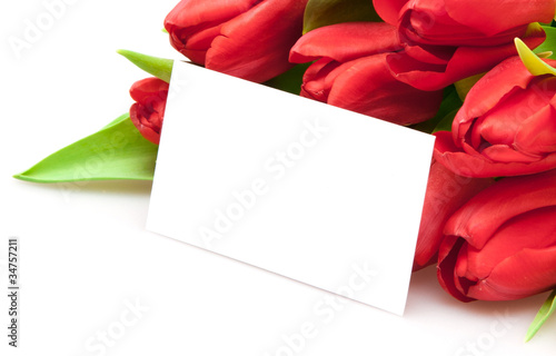 bouquet of red tulips photo