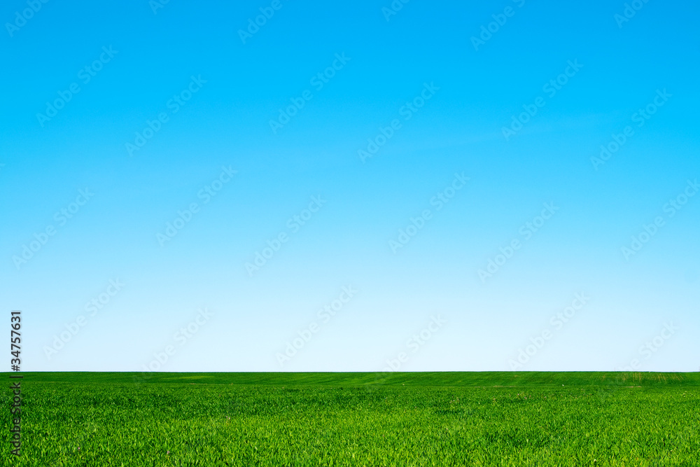 Obraz premium landscape