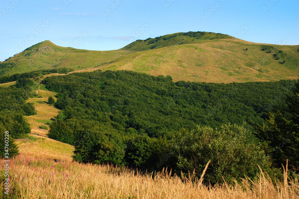Fototapeta premium Bieszczady, Połonina Wetlińska