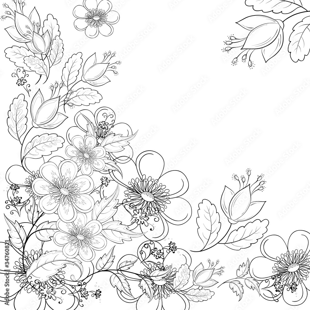 Flower background, contours