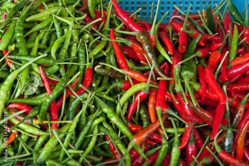 Fresh Red and Green Chili Pepper on blue basket