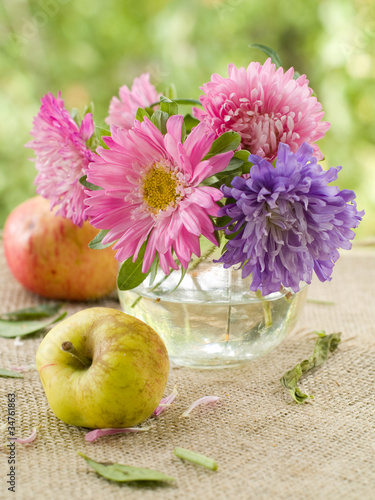 Wallpaper Mural flower Torontodigital.ca