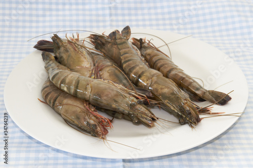 Prawns photo