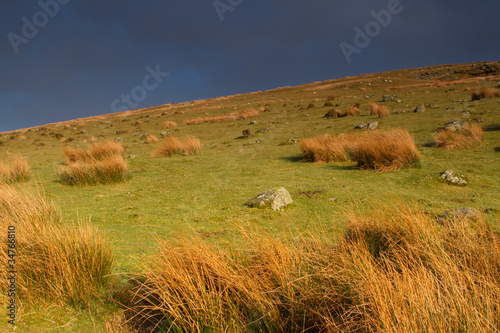 Hillside photo